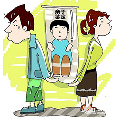 吕梁亲子鉴定是多少钱啊，吕梁隐私亲子鉴定具体的流程